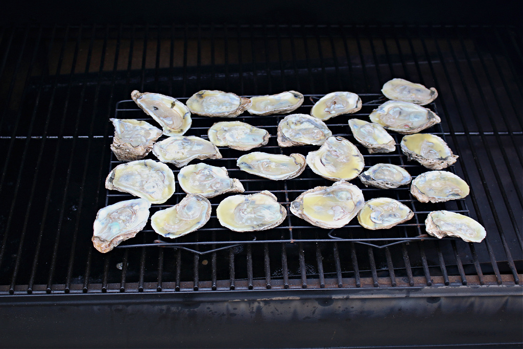smoked oysters on Traeger smoker