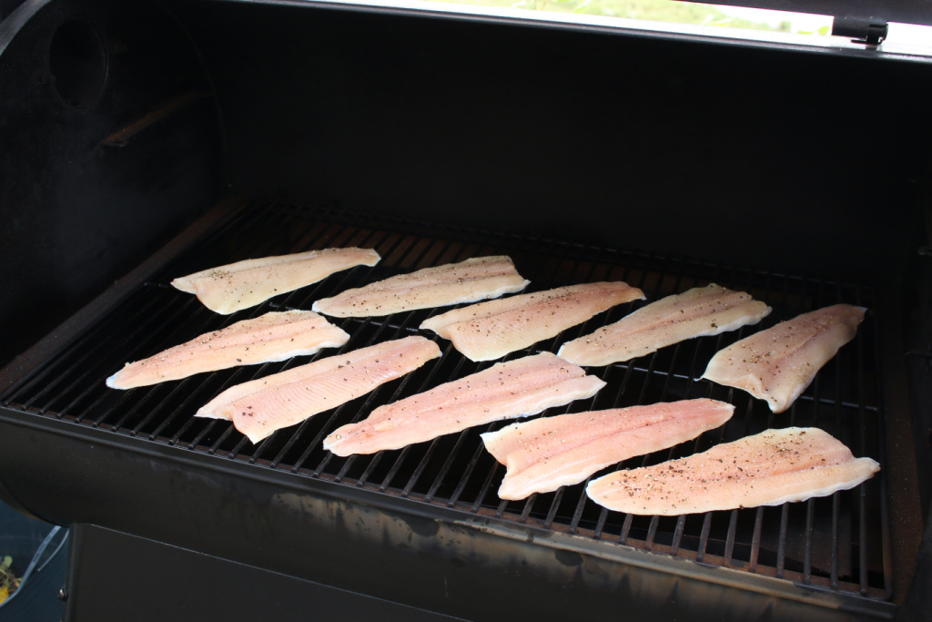 rainbow trout on Traeger smoker